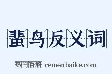 蜚鸟反义词是什么意思的图片